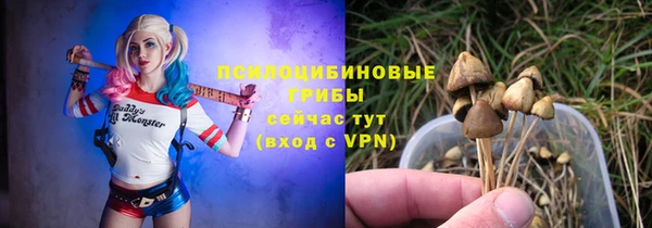 ешки Алексеевка