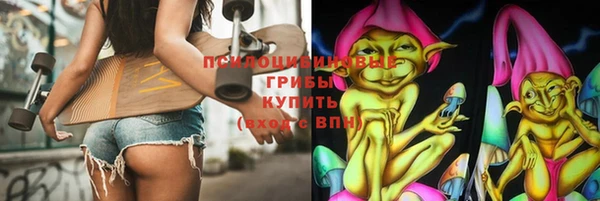 прущий лед Алексин
