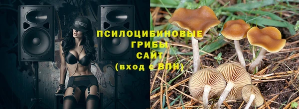 ешки Алексеевка