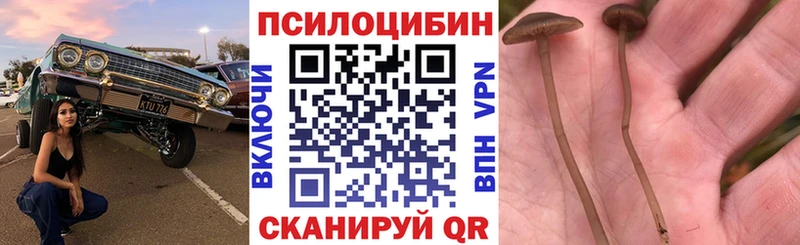 Галлюциногенные грибы Cubensis  Томмот 